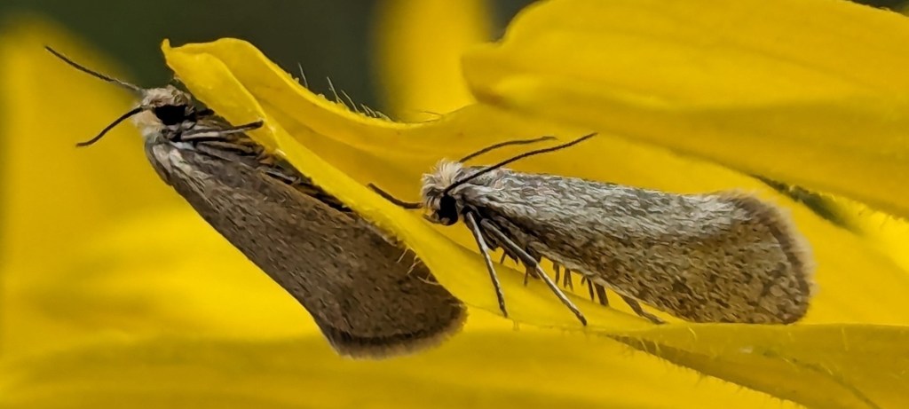 Trip report: Osoyoos,&nbsp;Oliver