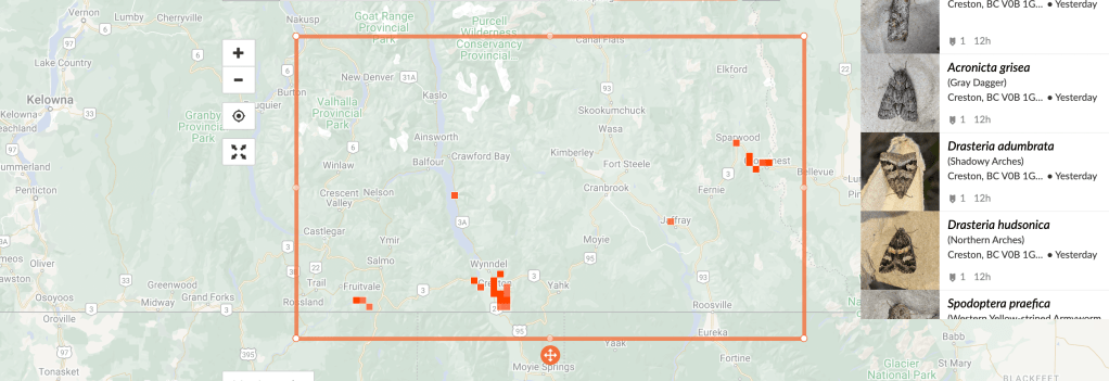 Creston, June 2024, trip&nbsp;report