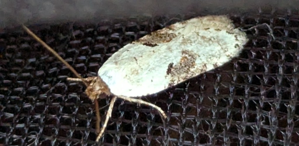 Back to Cache Creek, Aug 2015